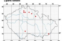 Hlízovec Loeselův- Liparis loeselii, mapa rozšíření