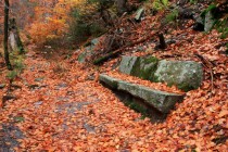 Stará stezka se místy úplně ztrácí a jen lavičky tesané do kamene naznačují, že se dříve jednalo o jednu z nejoblíbenějších turistických tras v Krkonoších.