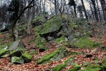 Stejně vznikly i mrazové sruby - většina místních skalních výchozů