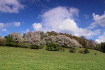 Na Prostřední hoře IMG_6193_panorama (2)