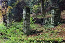 Karlówek dnes - ruiny uprostřed lesa...