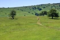 Krajina u Svaté Heleny