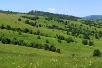 Krajina nad Svatou Helenou