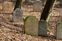 Židovský hřbitov ve Skalce