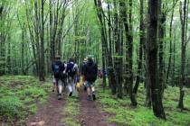 Cesta na Bígr - většinou se šlo přes poměrně nezajímavý les