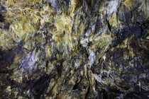 Vysrážené sirné a arsenové minerály spolu s prapodivnými plísněmi a povlaky bakterií barví stěny štol do neuvěřitelných barev