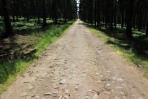 Na věčnosti - nejdelší lesní cesta ve střední Evropě...