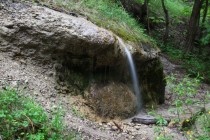 Biotop páskovce - pěnovcové prameniště pod Rýzmburkem v Babiččině údolí