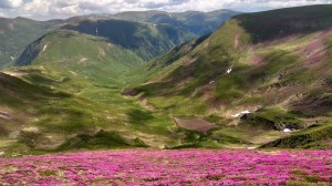 Fagaras