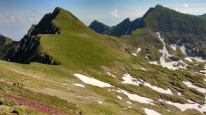 Fagaras