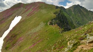 Fagaras