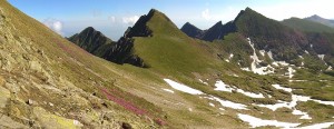 Fagaras