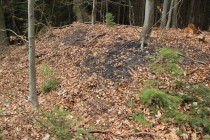 Na starých haldách i přímo z obnažených výchozů ve stržích potoků tu lze sbírat lupek i černé uhlí