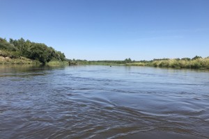 Poblíž pískoven řeka zpomaluje a doširoka se rozprostírá