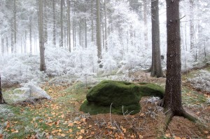 Broumovské stěny