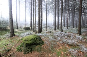 Broumovské stěny