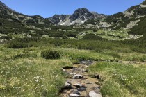 Nad horní hranici se objevil hřeben Retezatu s vrcholem Bucura I. Až tam jsme během odpoledne vystoupali...