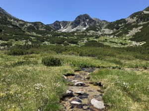 Nad horní hranici se objevil hřeben Retezatu s vrcholem Bucura I. Až tam jsme během odpoledne vystoupali...