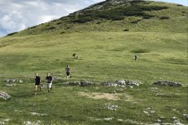 Běh do vrchu. Unáhlená sázka, špatně odhadnuté převýšení i vzdálenost mě stály dvacet limonád. ale odměnu si zasloužili...