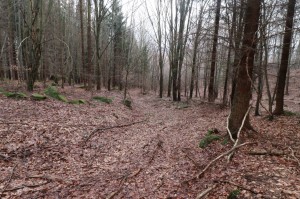 Některé středověké cesty jsou dobře zřetelné