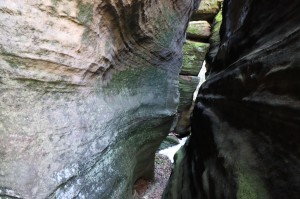 Teplické skály - Kemp u sedmi tváří IMG_2119