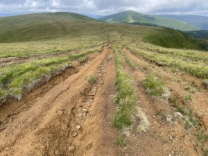 Provoz není nijak regulován a temena hor jsou zbrázděna desítkami cest