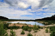 Typickým stanovištěm smilu jsou opuštěné pískovny, obnažené písčin, přesypy a další podobná místa, kterých je v naší krajině málo. Zde bývalá pískovna Marokánka u HK. Místo bylo z části ponecháno přirozené sukcesi a slouží k rekreačním účelům i jako refugium mnoha ohrožených druhů...